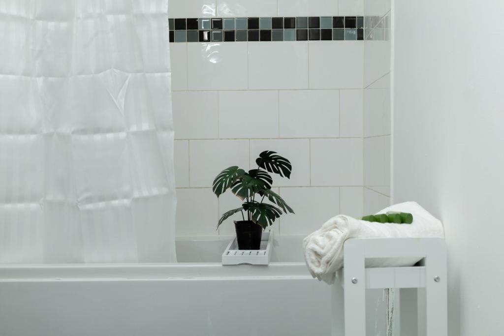 Spacious City Centre 2 Bedroom Apartment - Lt Apartment Leicester Dış mekan fotoğraf
